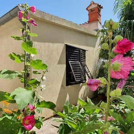 Apartments Villa Martinuzzi Apartment *