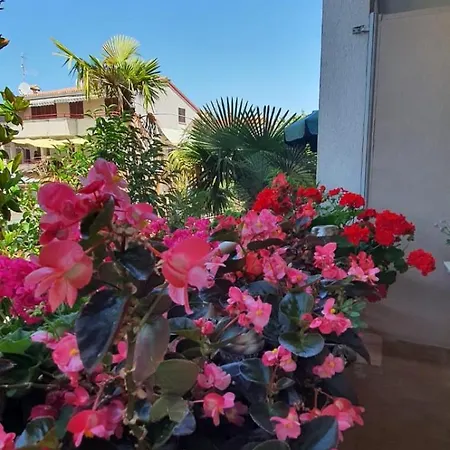 Apartments Villa Martinuzzi *