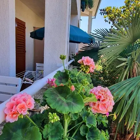 Apartment Apartments Villa Martinuzzi