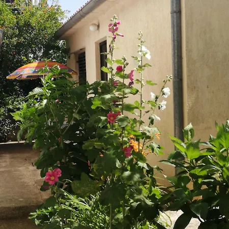 Apartments Villa Martinuzzi Apartment *