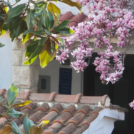 Apartments Villa Martinuzzi Apartment Rovinj