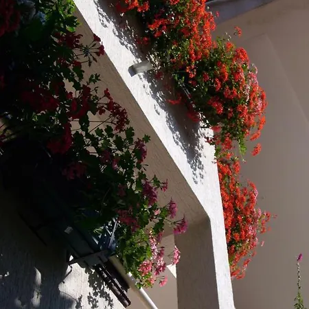 Apartments Villa Martinuzzi