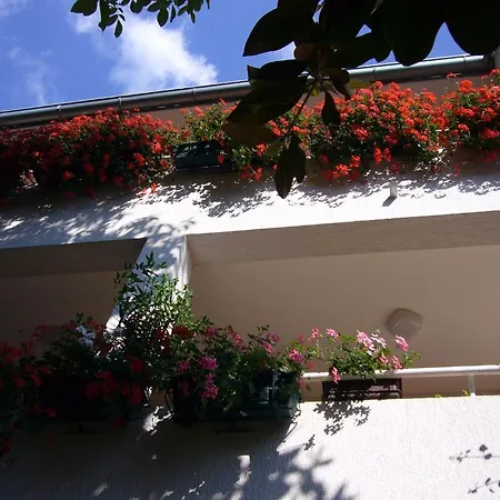 Apartments Villa Martinuzzi Apartment