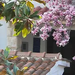 Apartments Villa Martinuzzi Apartman Rovinj