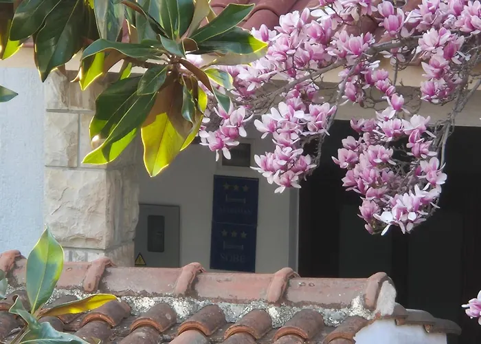 Apartments Villa Martinuzzi Apartman Rovinj